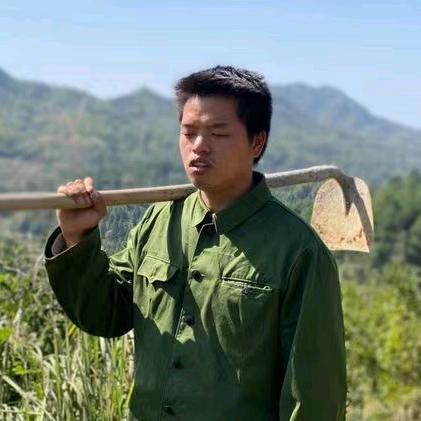憨憨的大灯（养鸡中）