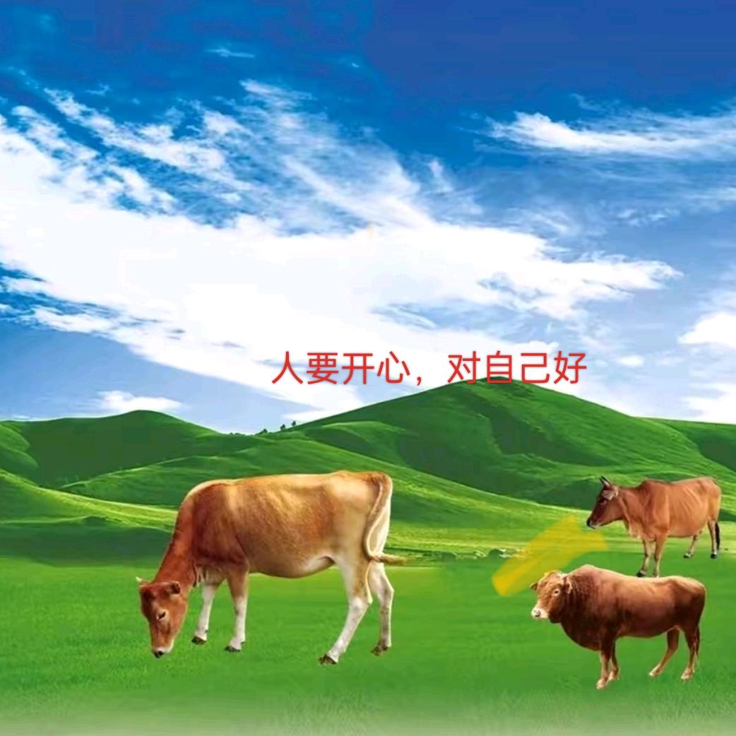 回收废品