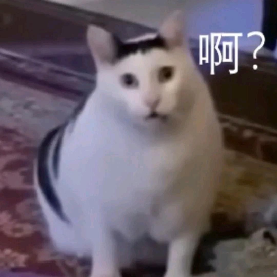 饮茶先咯v
