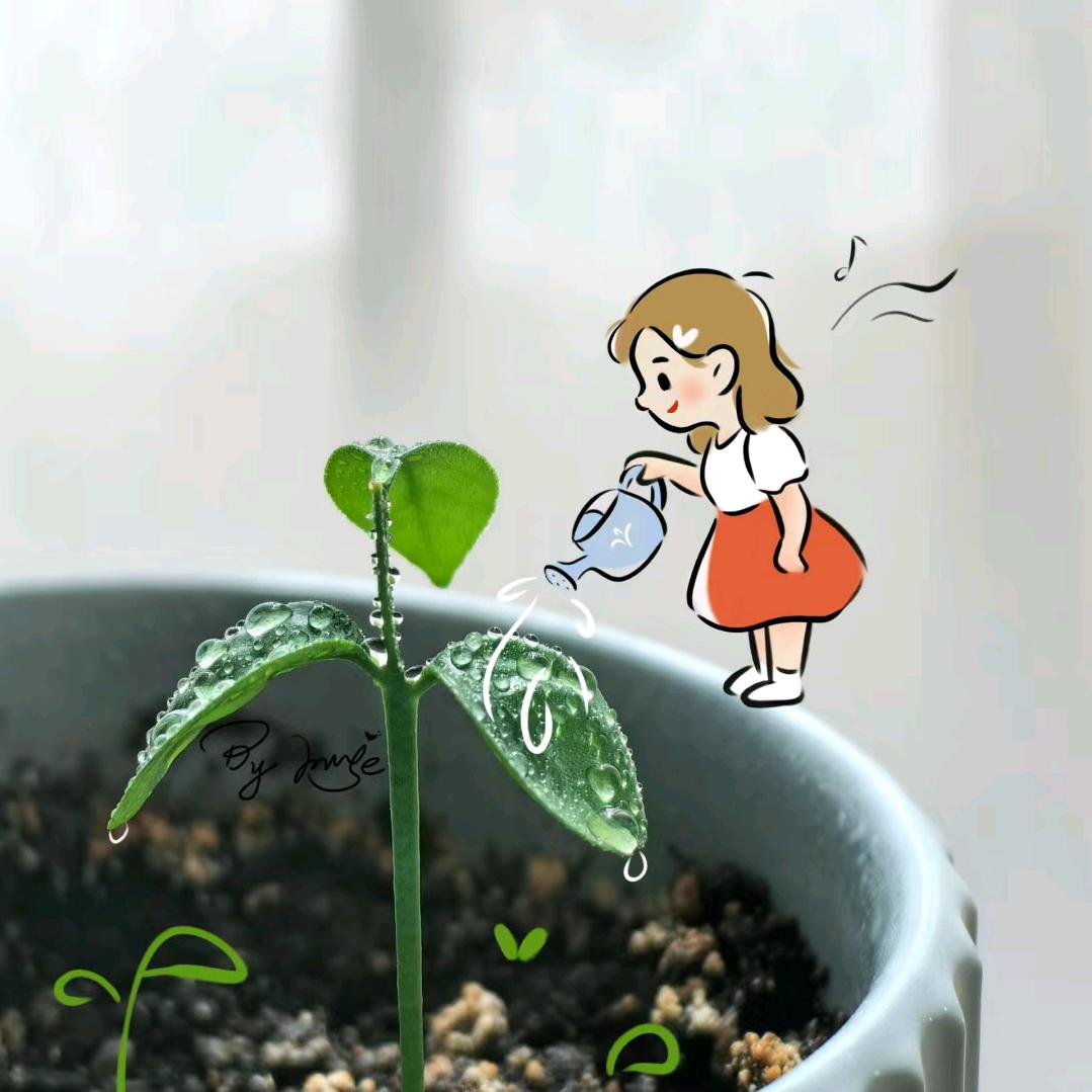 早安花坊