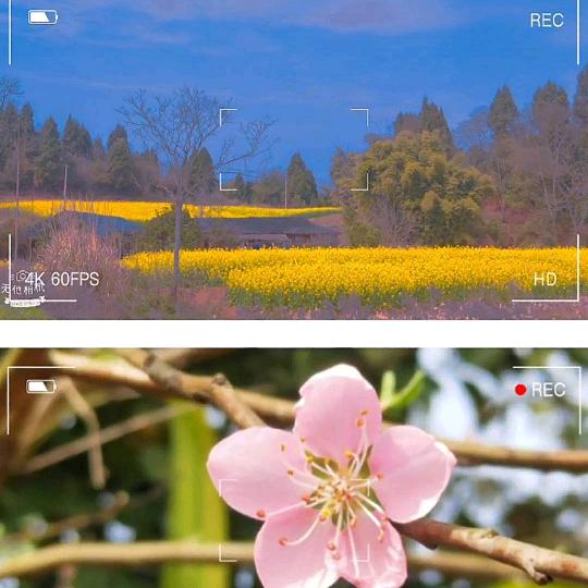 姚家沟。