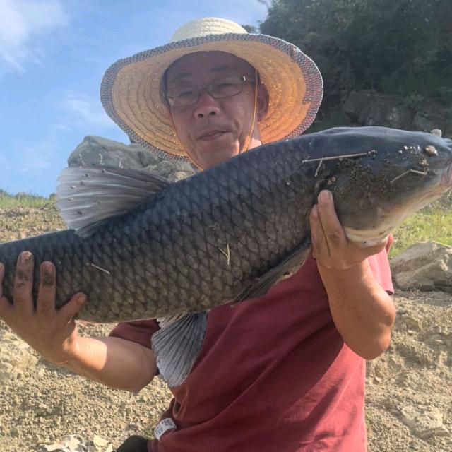 老登钓鱼