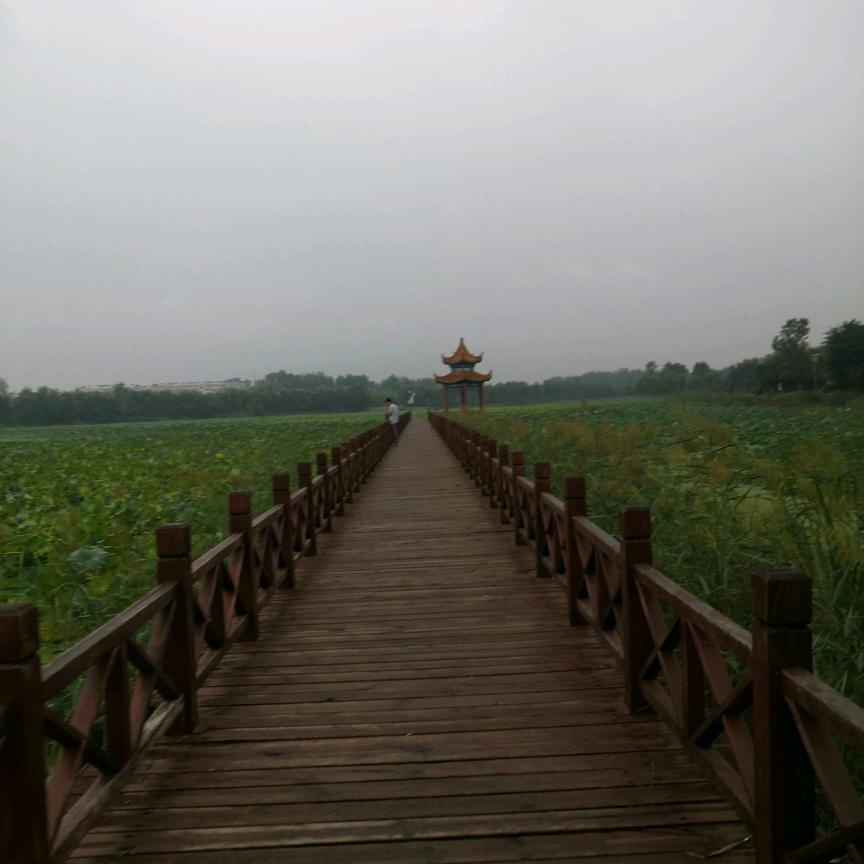 最可爱的崽