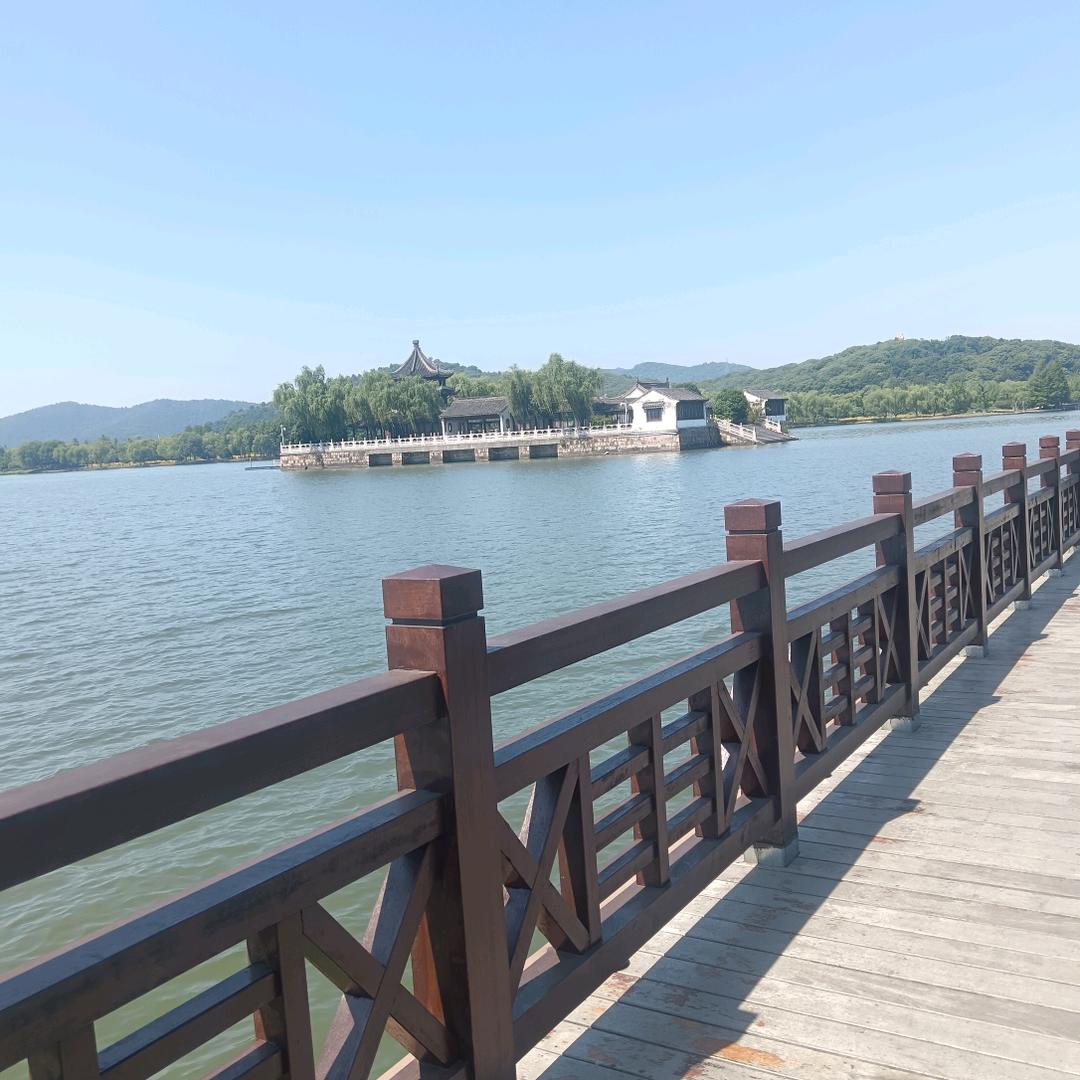 顺其自然……………