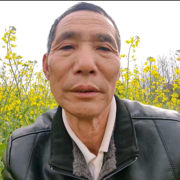 河南周哥(晚上6:20)