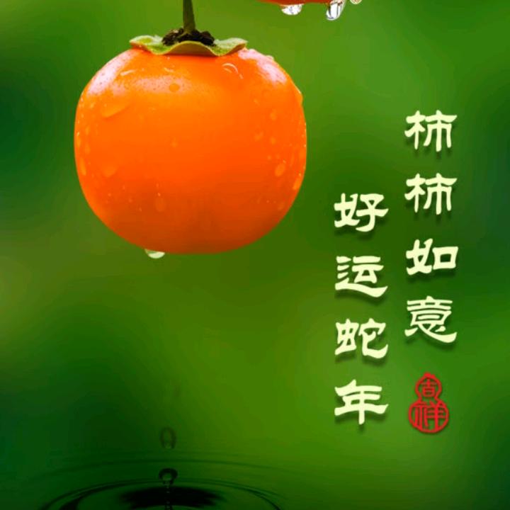 59318544537