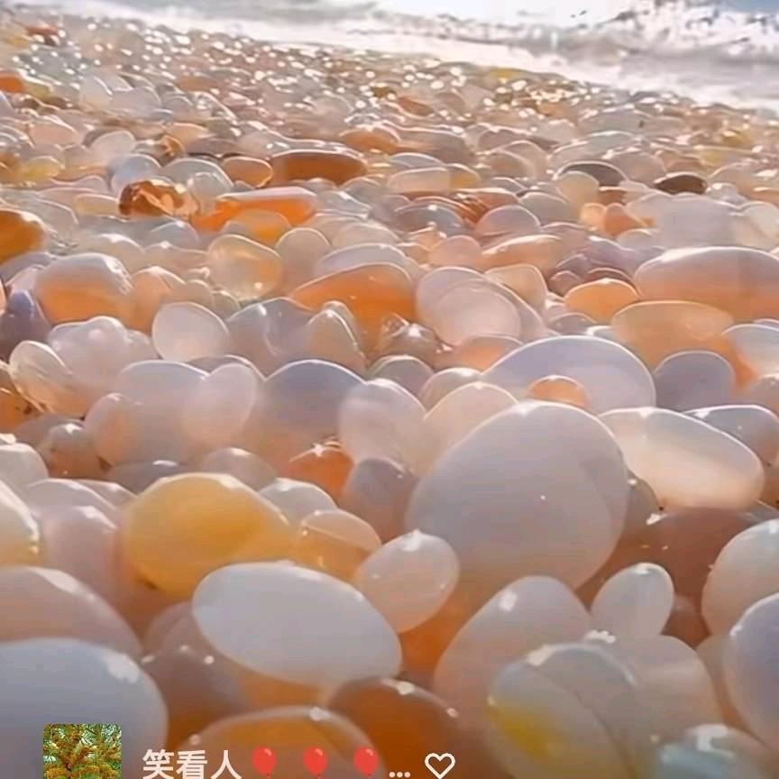 133194503兰州龙哥🌹🌹🌹