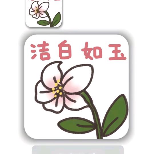 洁白如玉