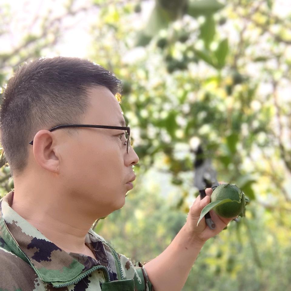二叔水果
