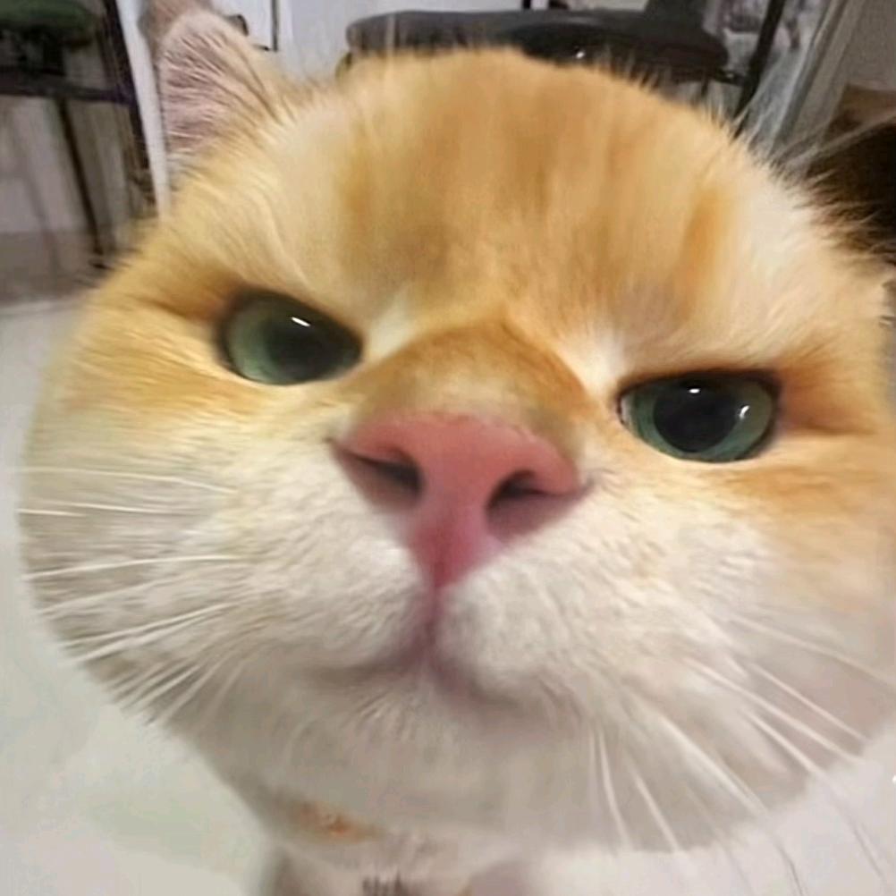 英文名