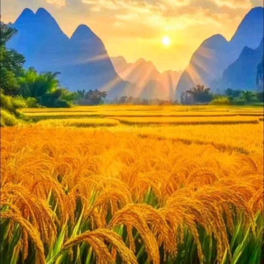 微笑每一天