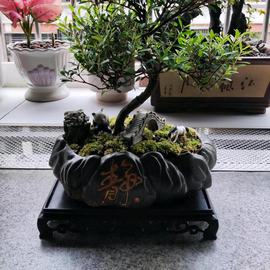 桃山
