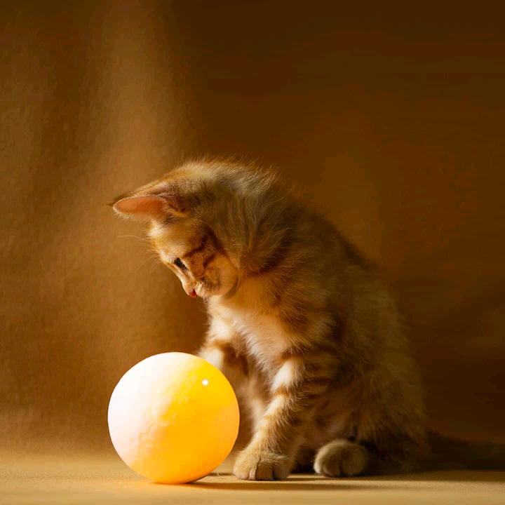 无敌战神～(￣▽￣～)~