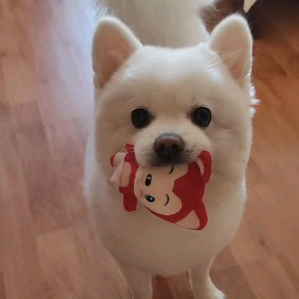 如愿