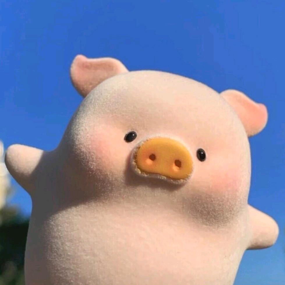 珠珠不是猪猪🐷