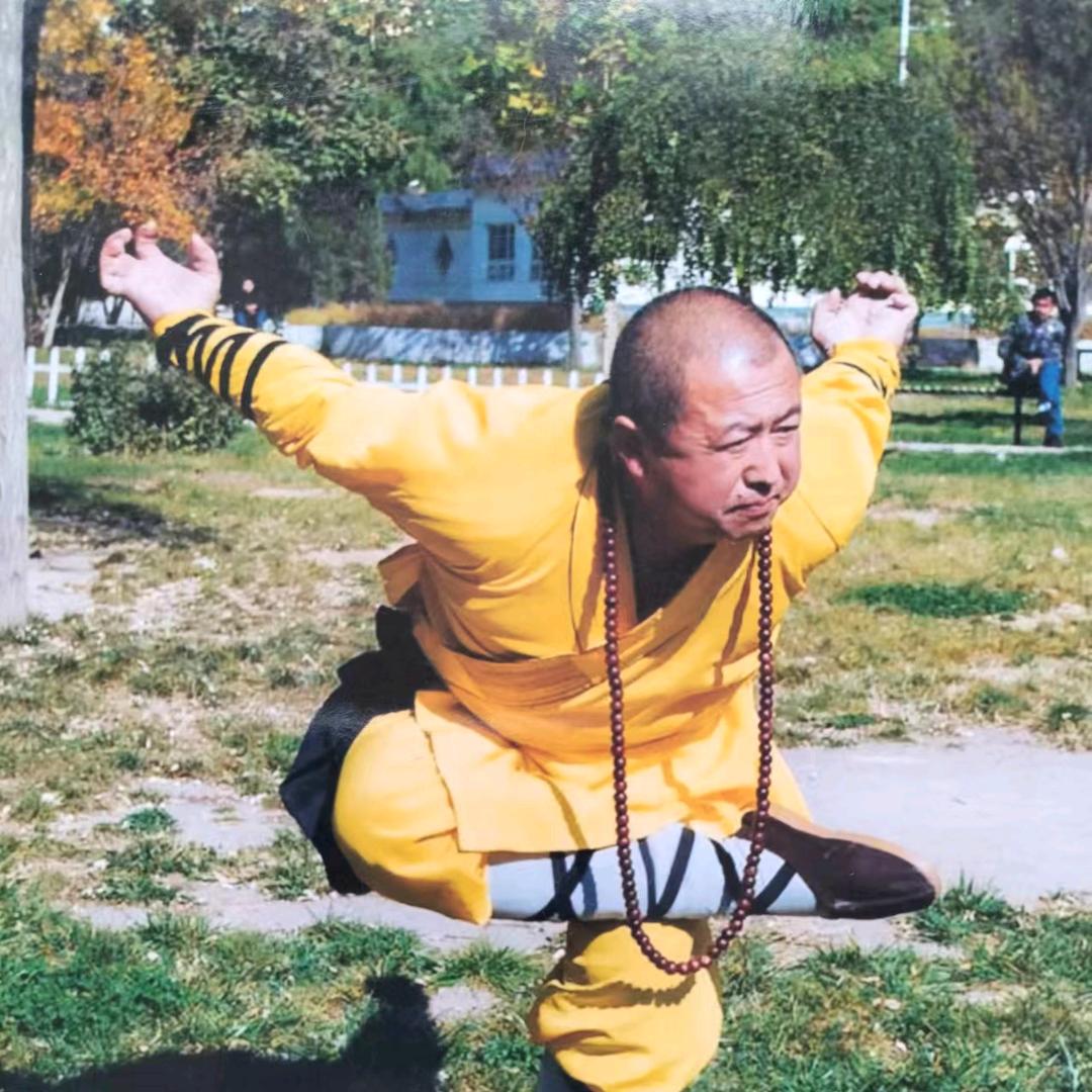 少林寺铁掌罗汉释德敏