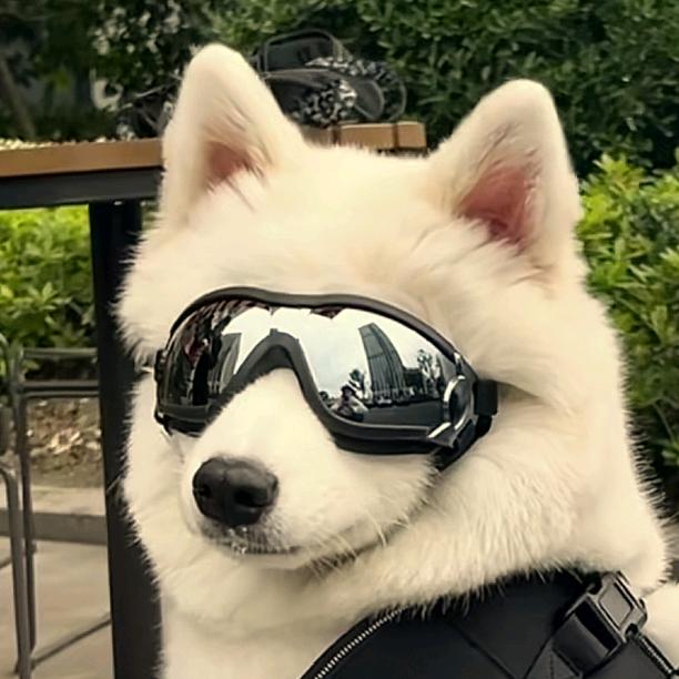 耶耶今天开心吗？