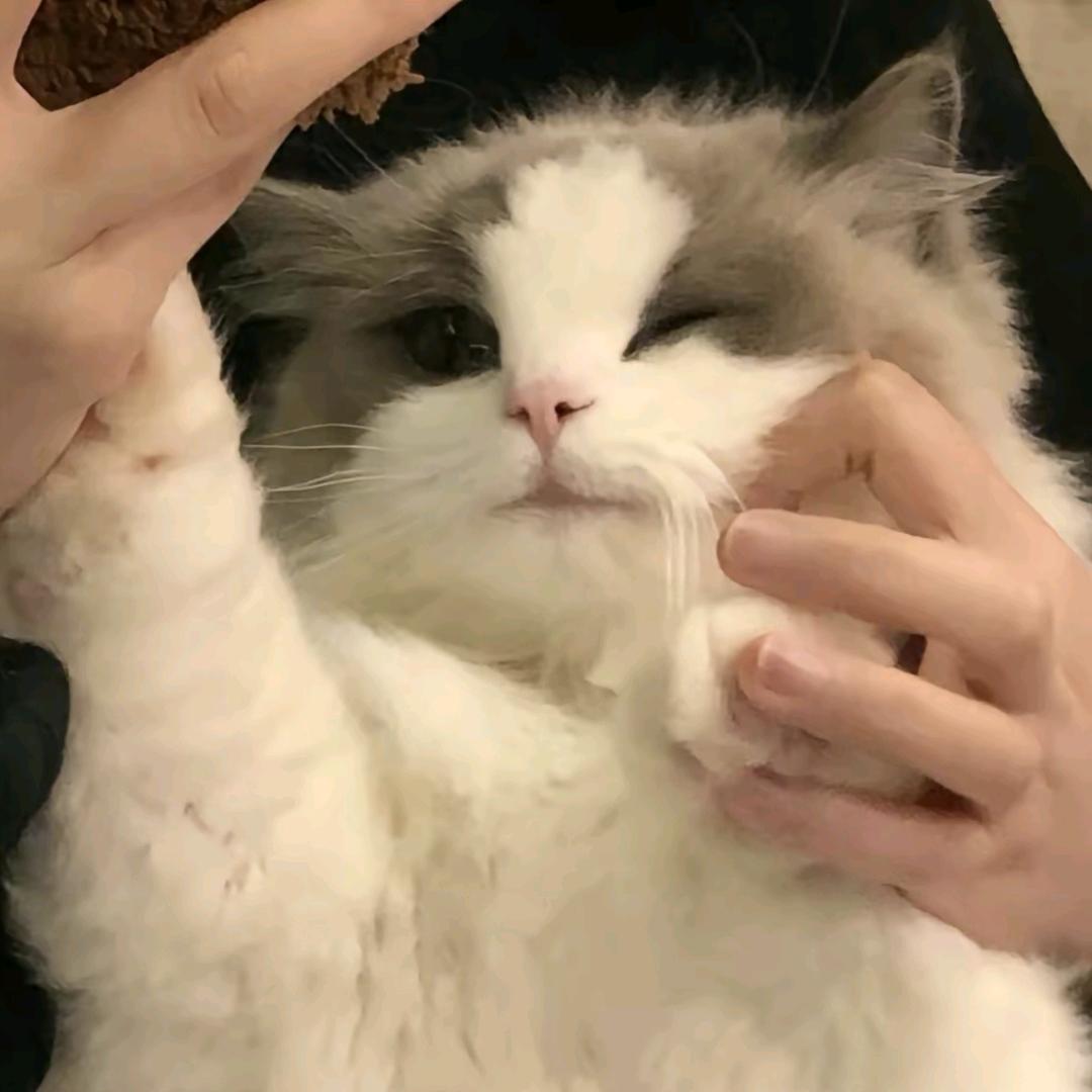 墓ॱଳ