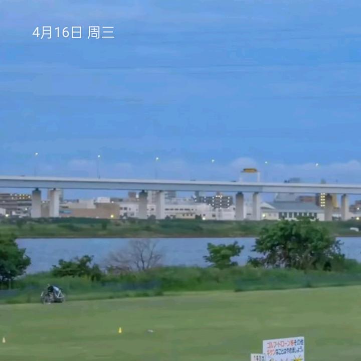 朵呆