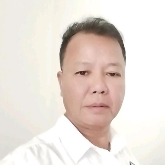 杨t