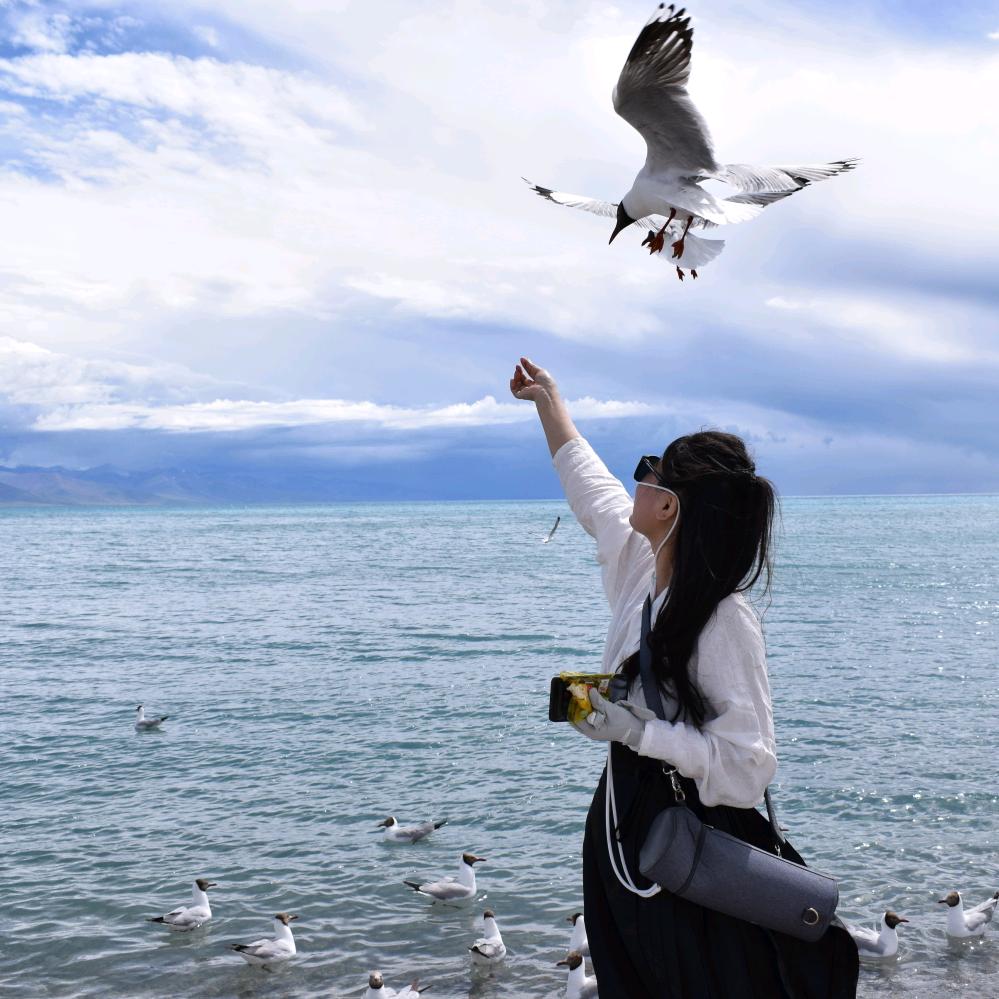 浅丶
