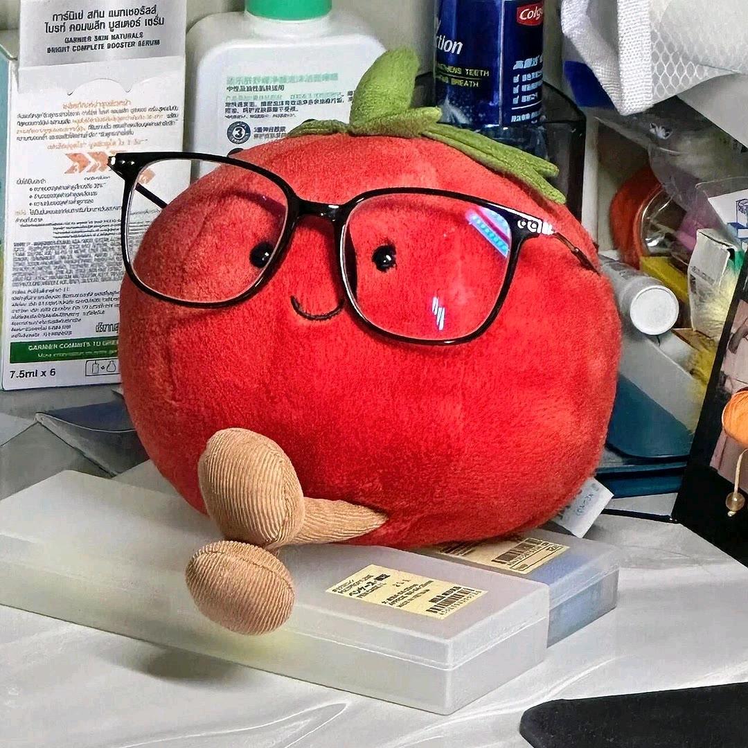 昭昭靓壳屋