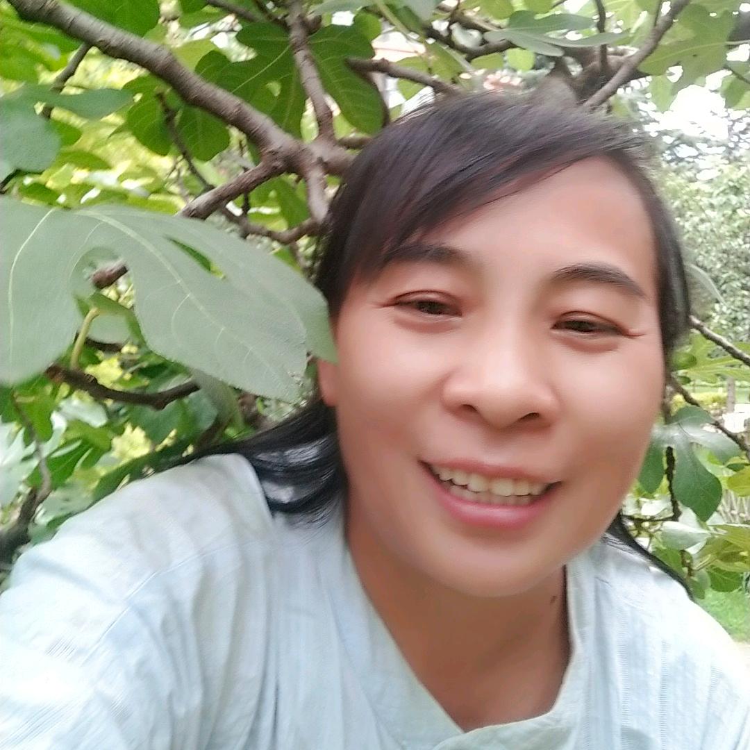 琼华（首播不定时）