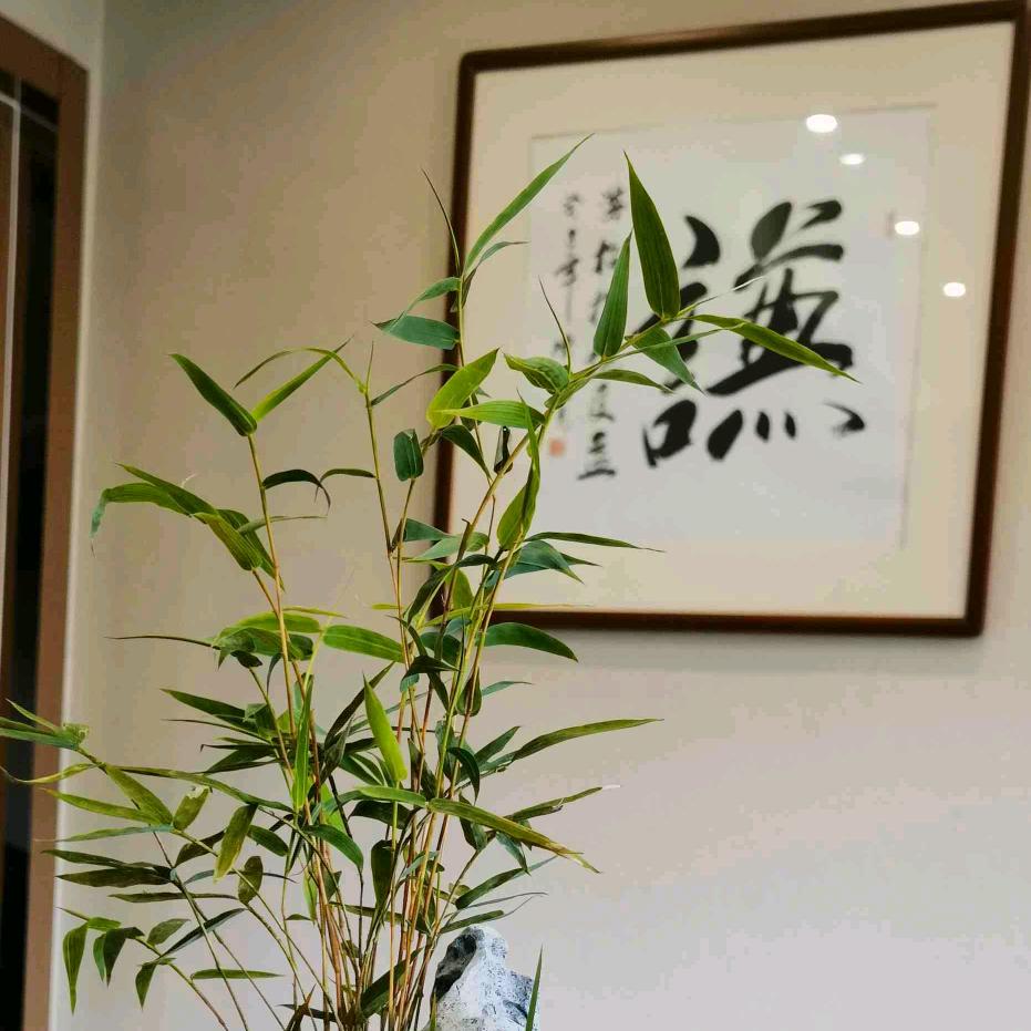 20年升阳房产经纪老炮