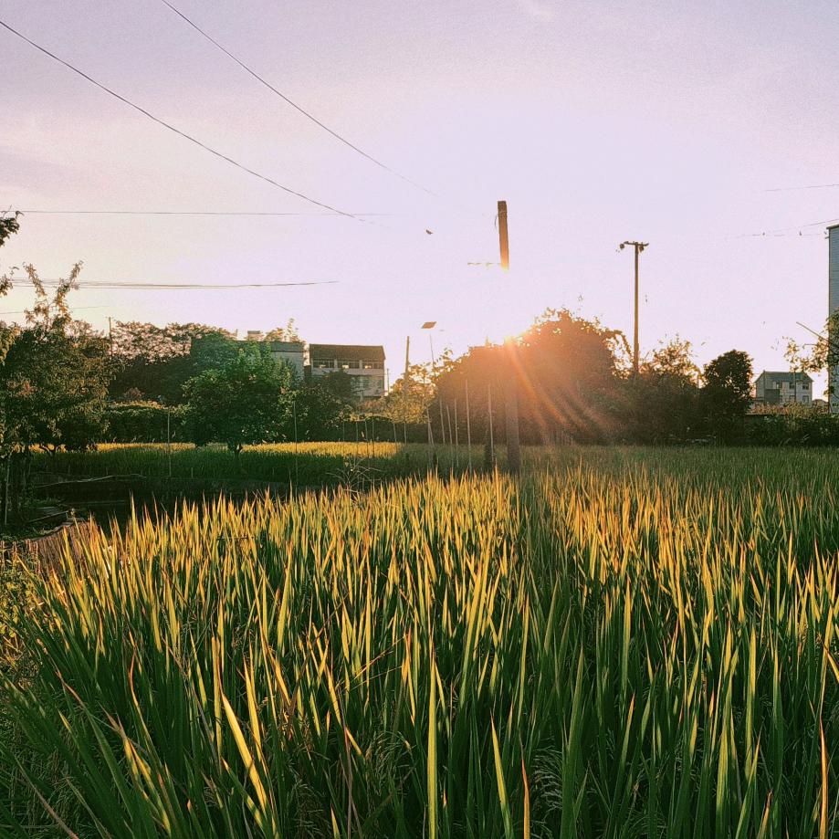 长田坎村李老师