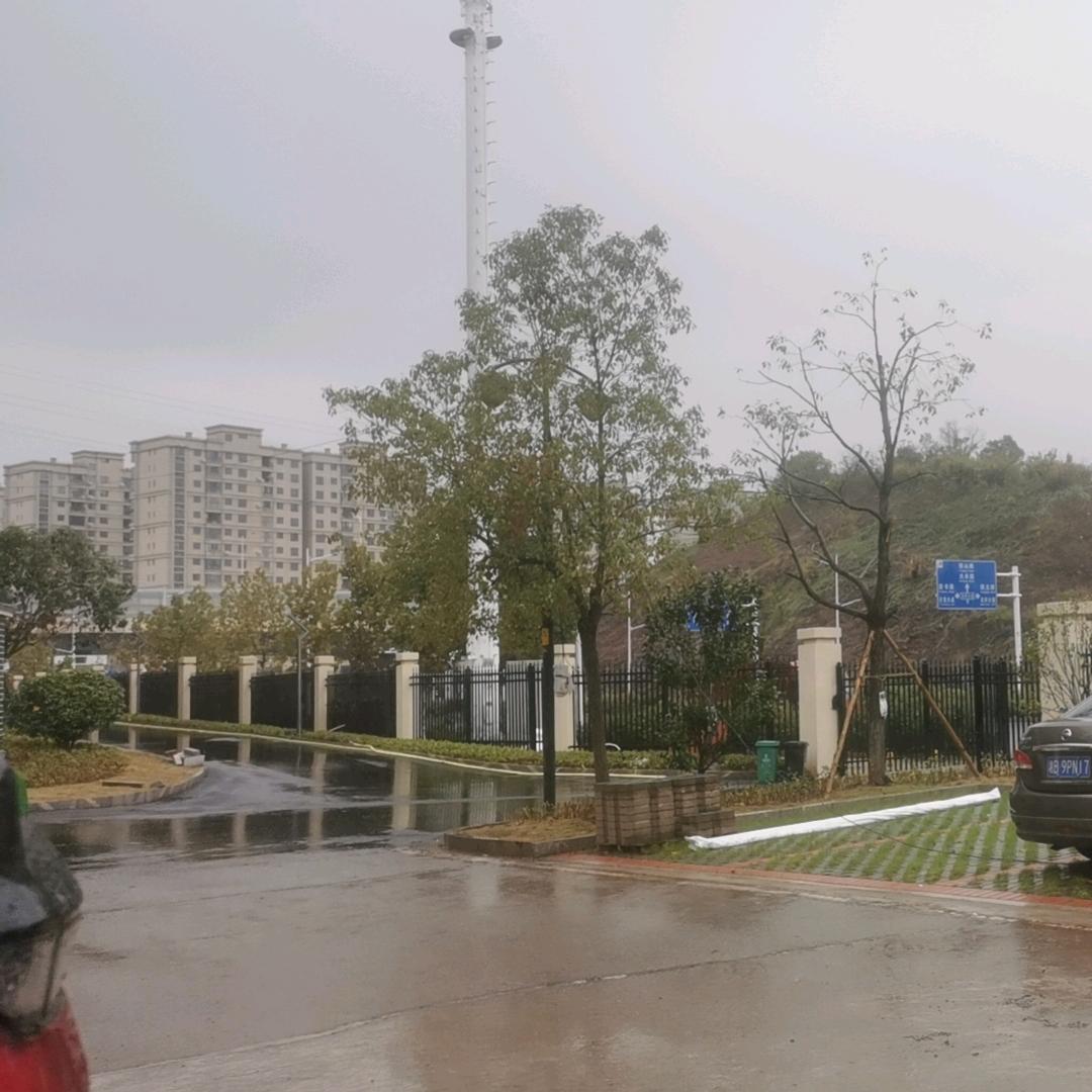 明月55839825