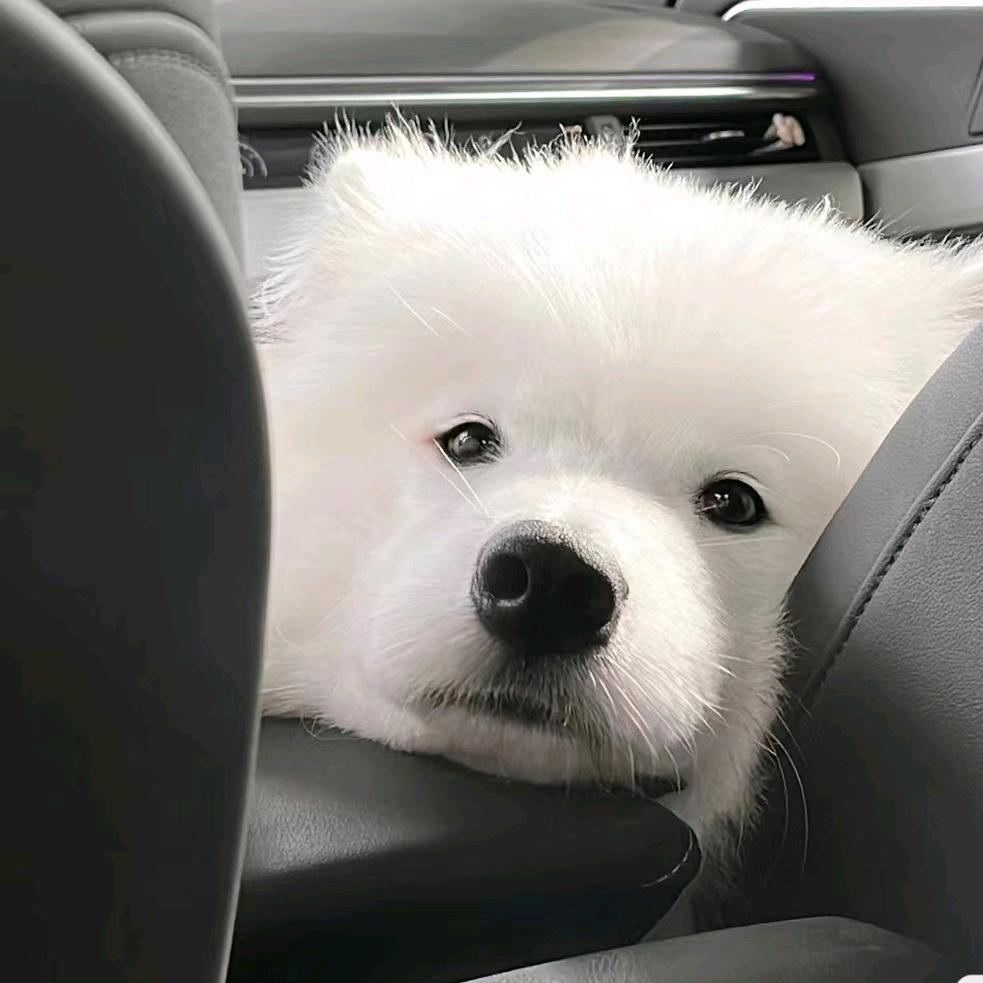 盼来.