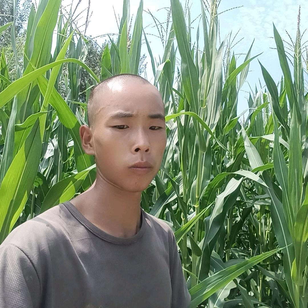 赵金玉