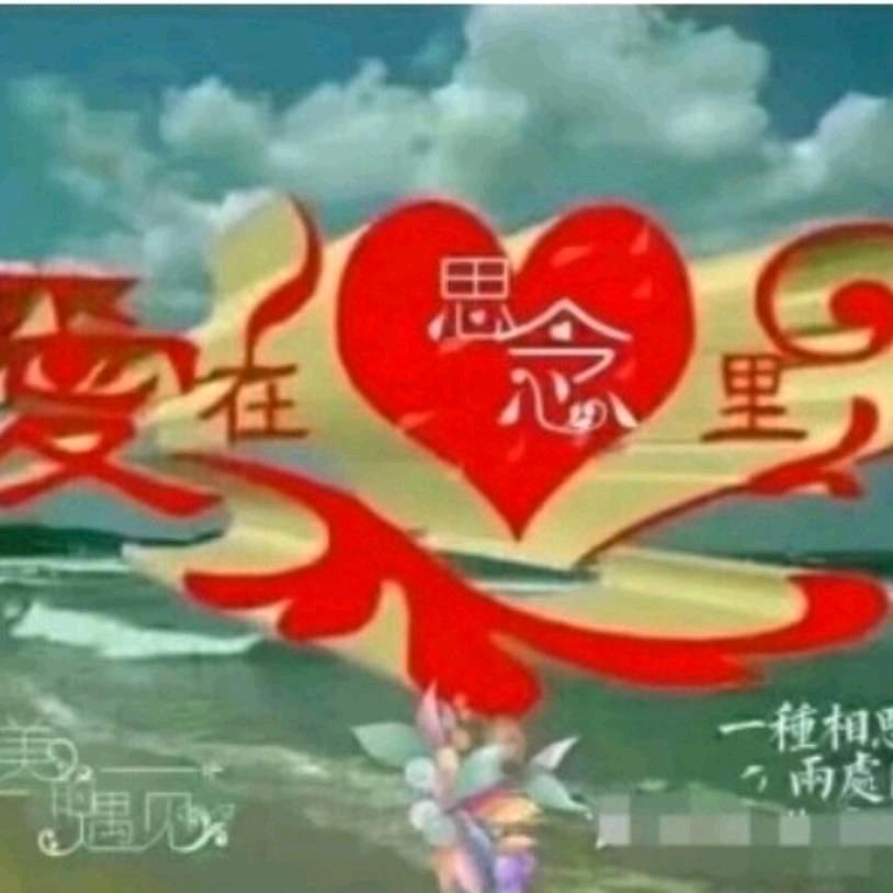 ❤️❤️❤️静心……