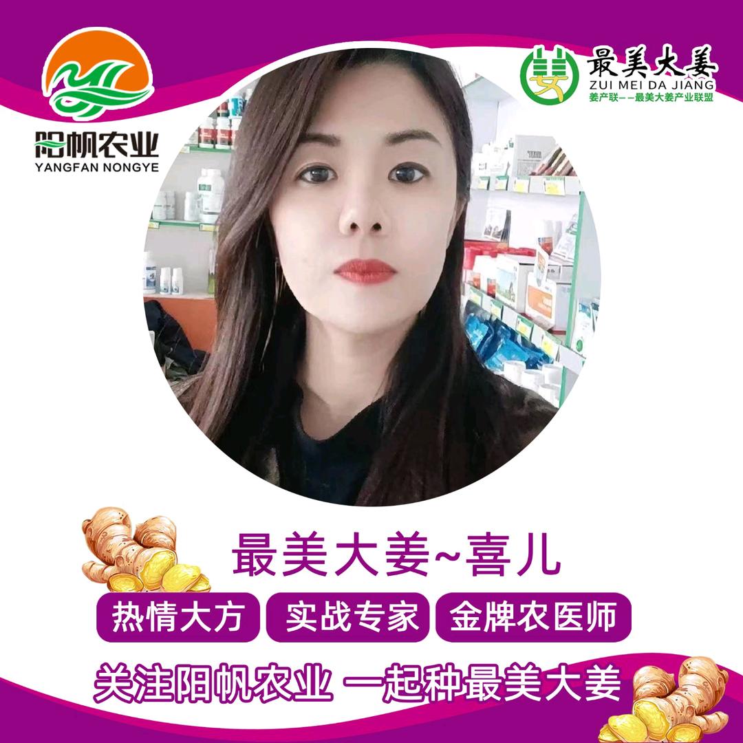 最美大姜~喜儿