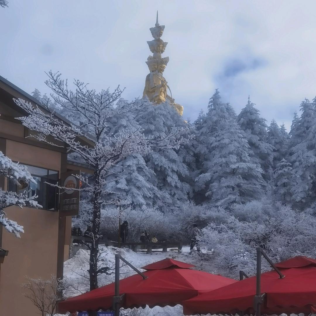 风中