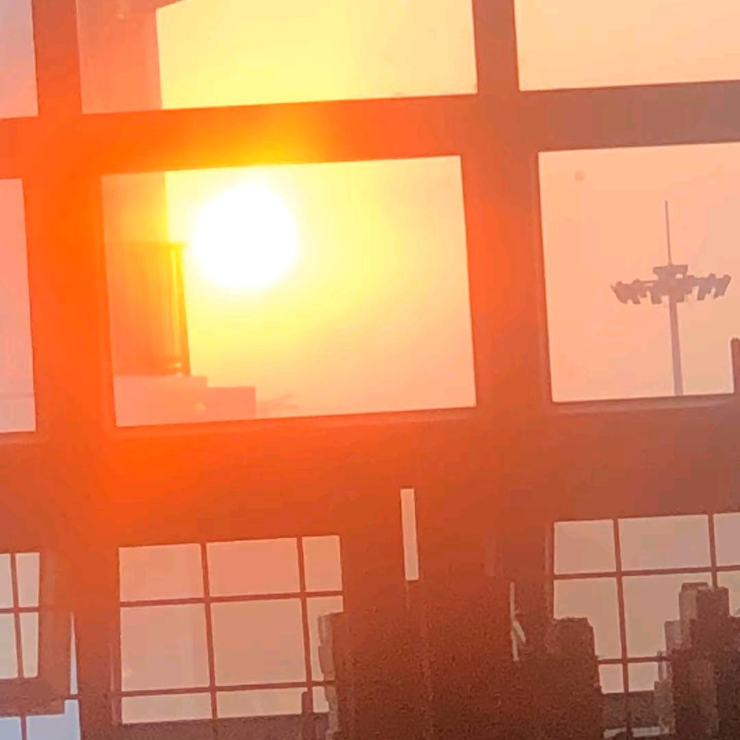 笨蛋是你不是我.