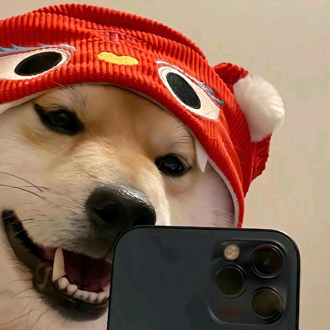 ⑤