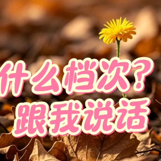 灵魂伴侣