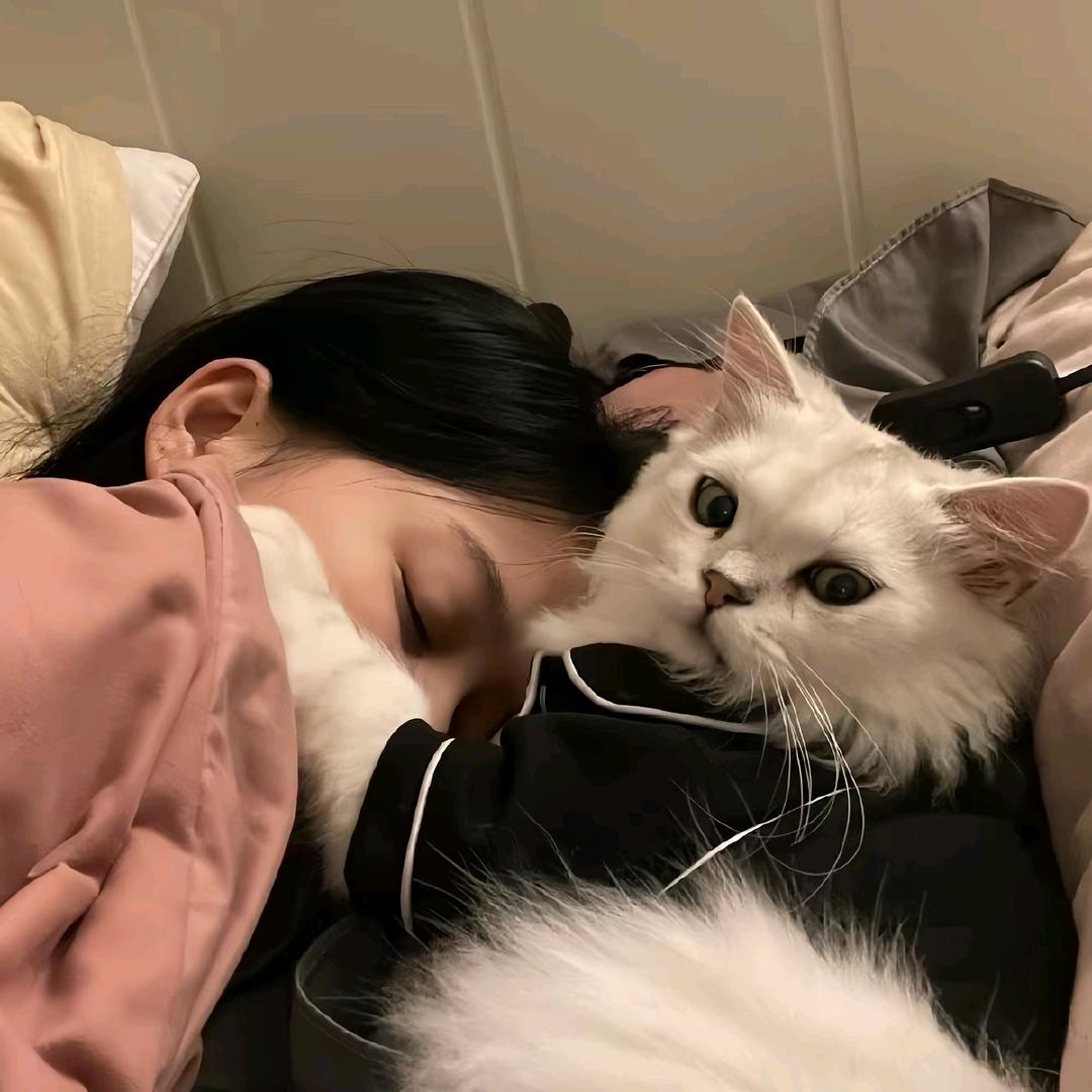 ☄️贰零年