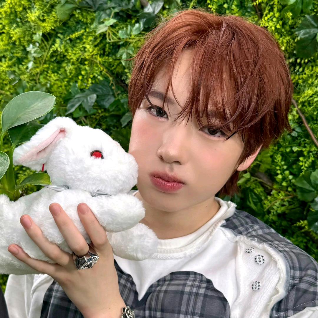 小猫转^