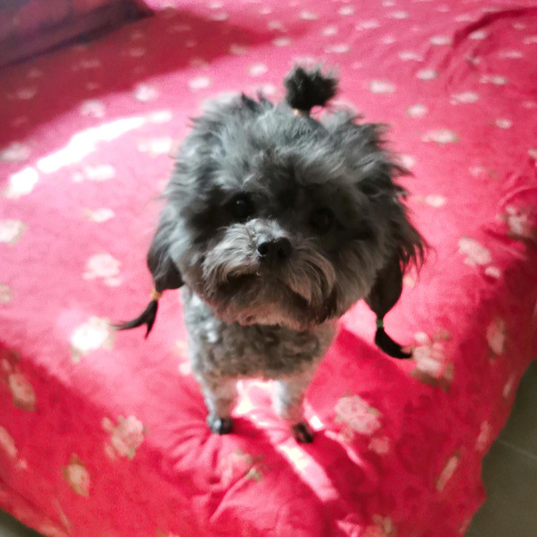 黑儿 黑儿