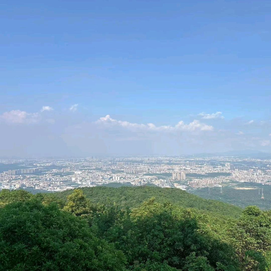 兴趣爱好者