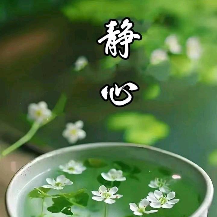 泽家湖酉庆合作社土鸡蛋