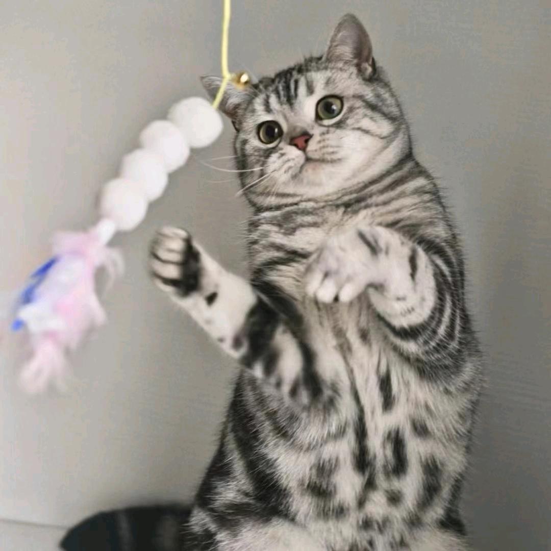 长江诉说