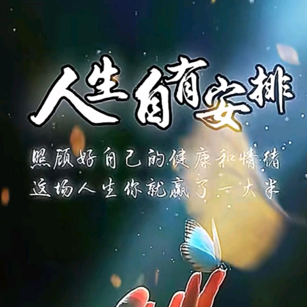 后知后觉💐