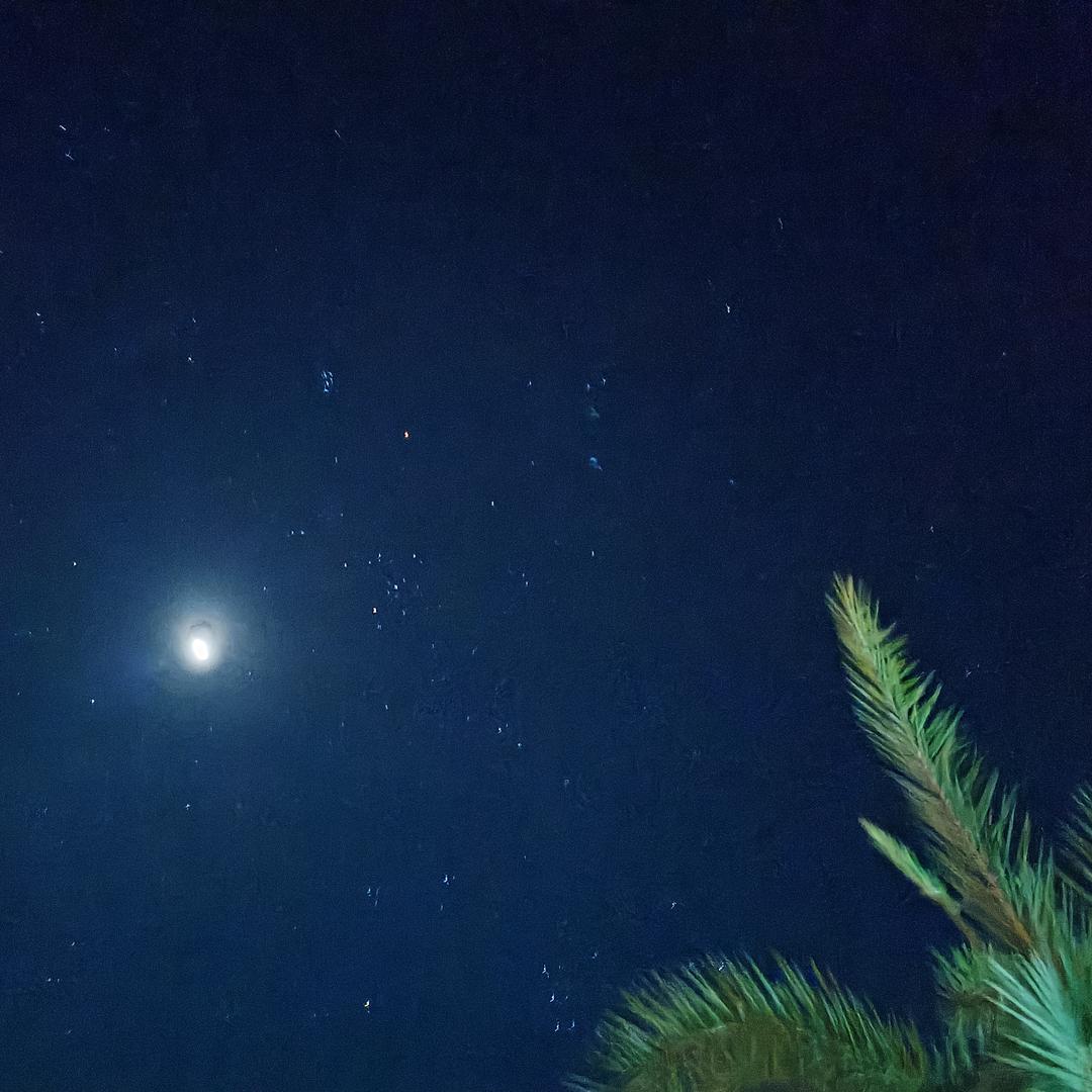 有所期待