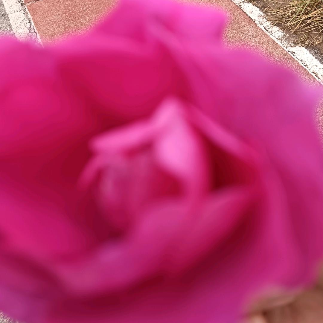 平安顺遂心(｡･ω･｡)ﾉ♡