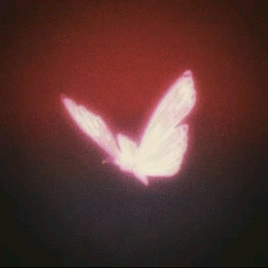 𓆡婷婷