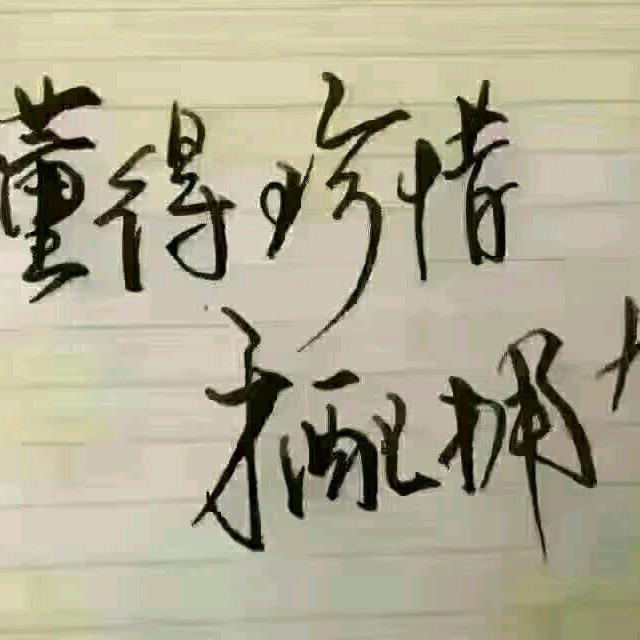 海的世界