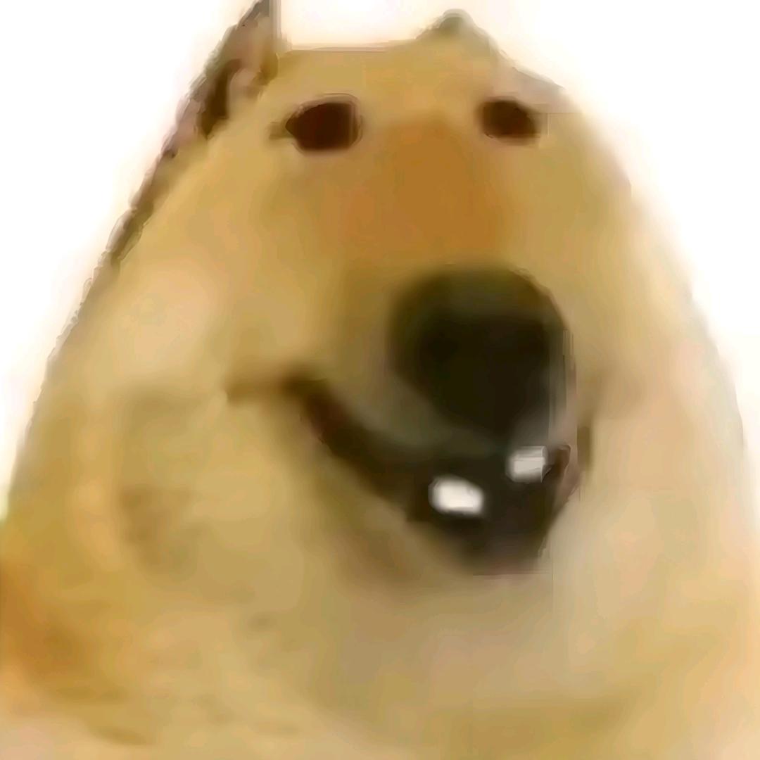 木嘿嘿嘿。